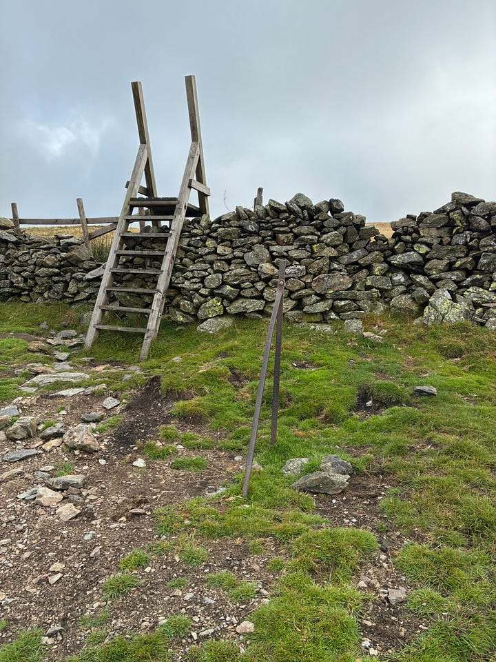 Lake District scenery and a fortifying cup of tea.