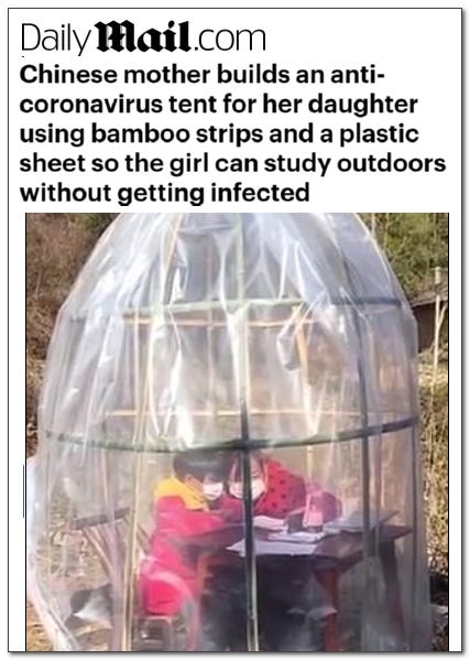 chinese mother makes tent out of bamboo so child can study outdoors without getting infected daily mail