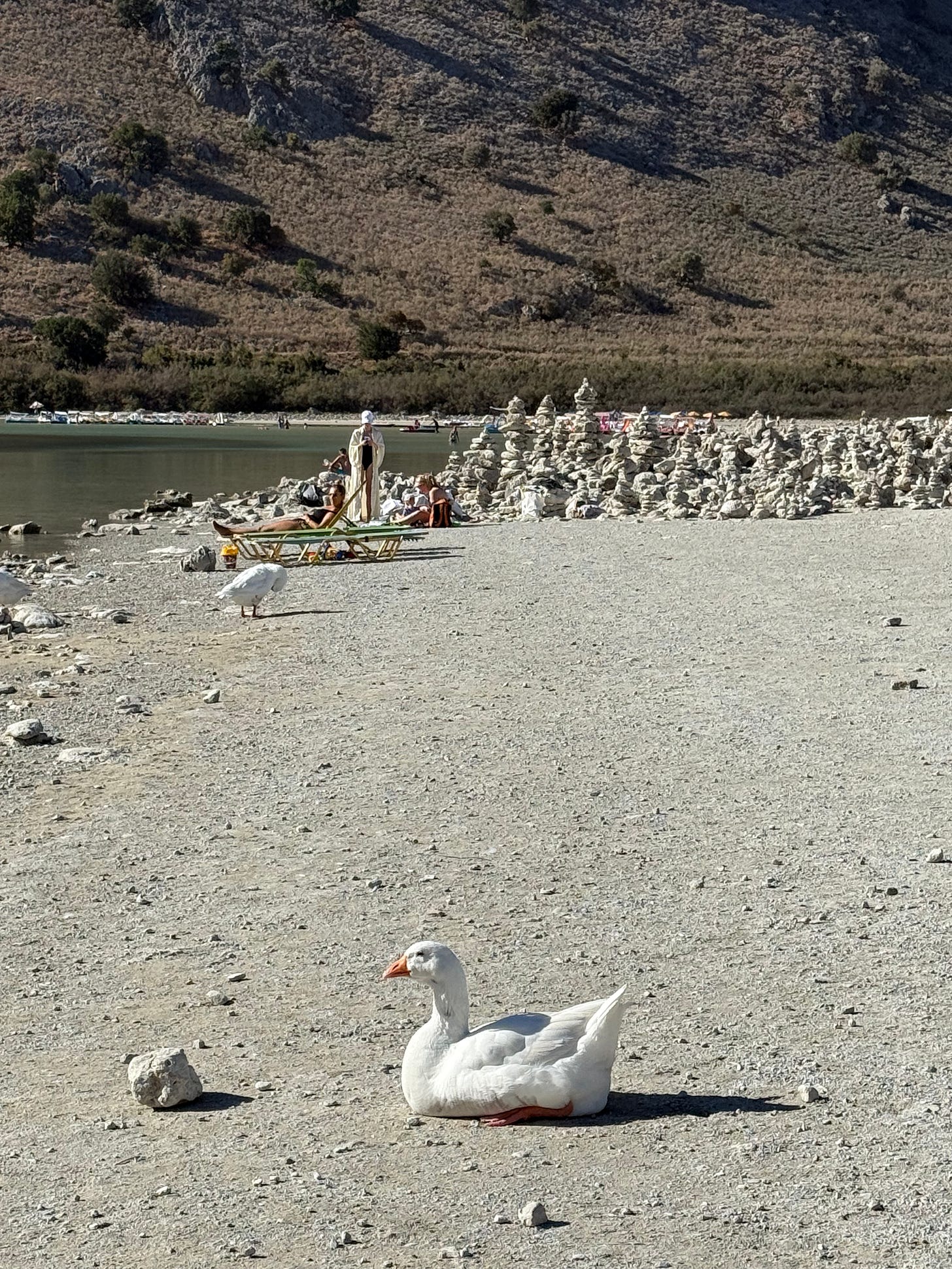 Lake Kournas has turtles, but after an hour searching with a water bike, I hadn’t seen them swimming