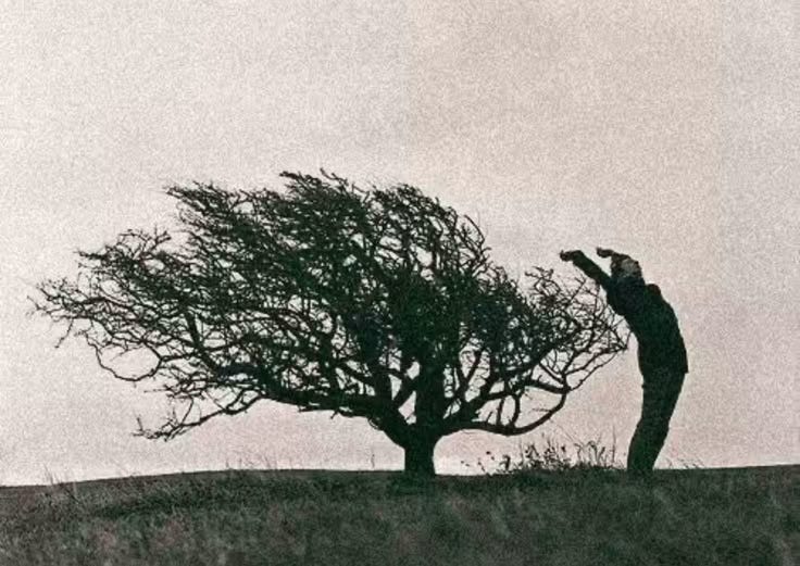 This may contain: a man standing next to a tree on top of a hill