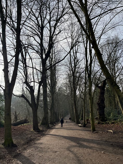 London park walks in foggy and sunny days