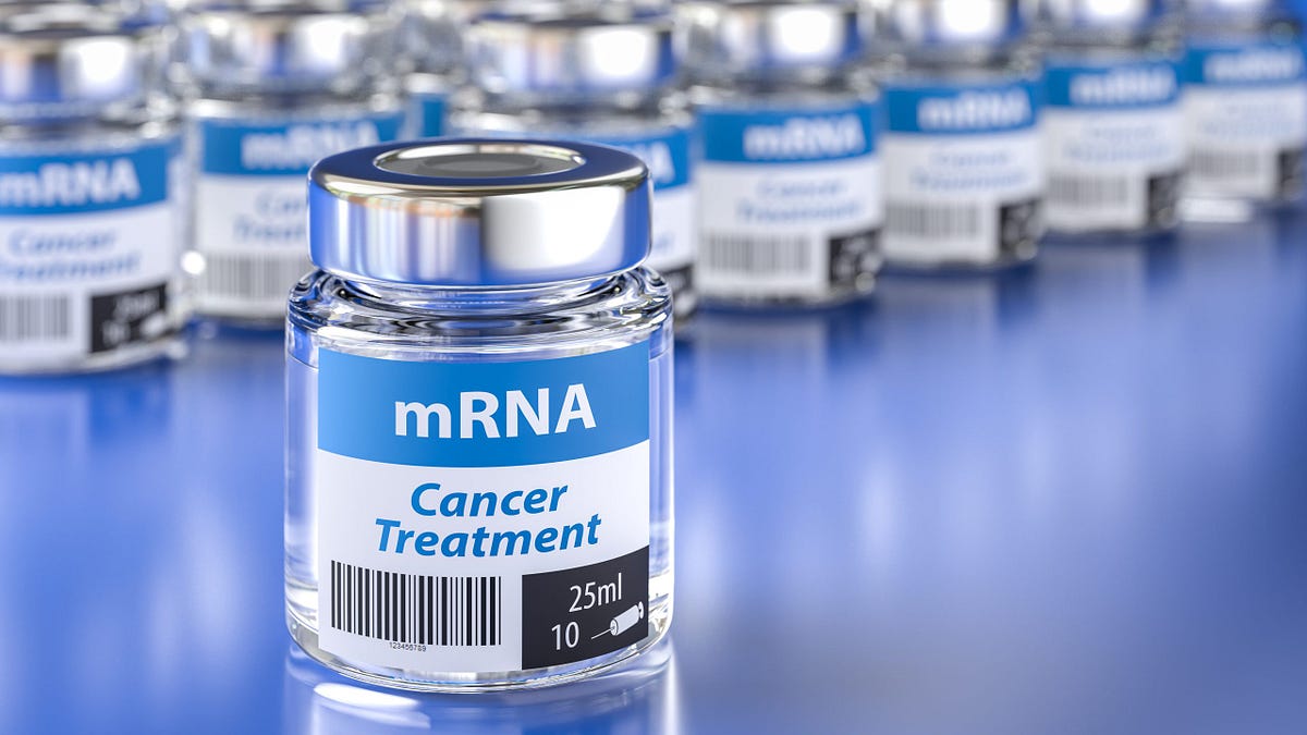 lionessofjudah.substack.com