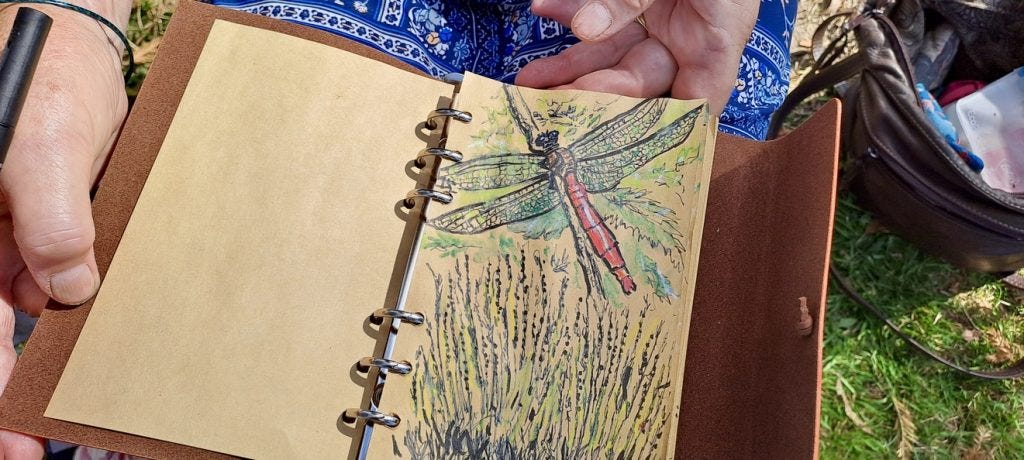 Dragonfly by Caroline Giniunas Dragonfly by Caroline Giniunas