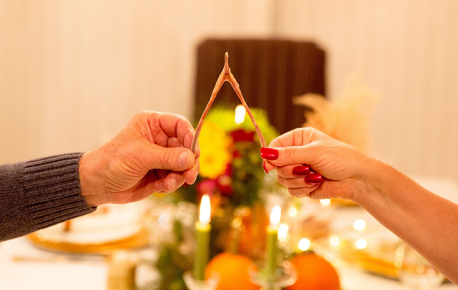 Why Do We Break the Turkey Wishbone at Thanksgiving?