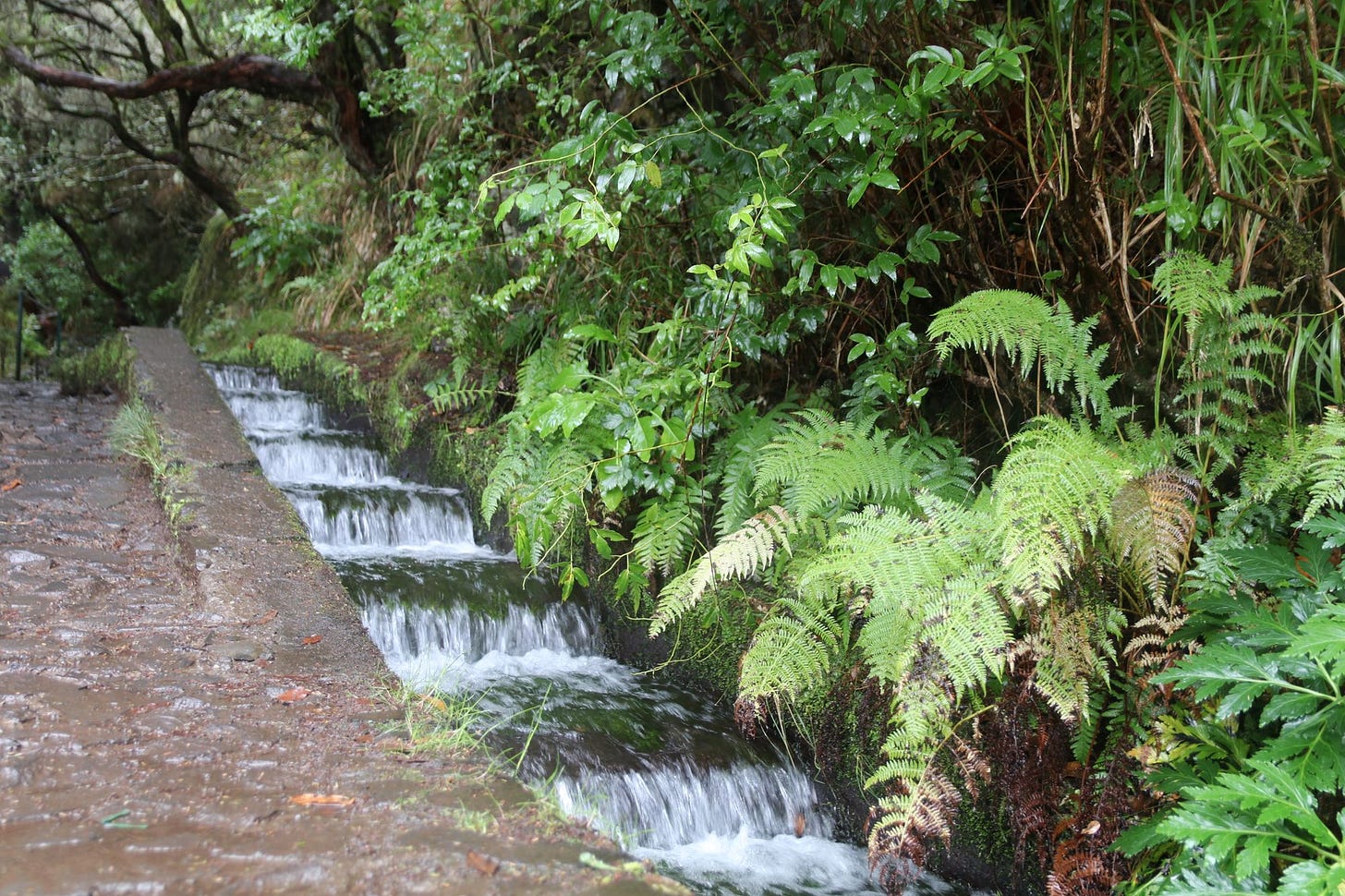 Madeira 2022: Walks & Hikes