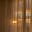 Don't Close The Curtains's avatar