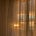 Don't Close The Curtains's avatar