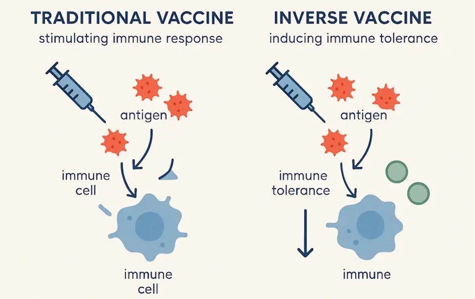 Diagram comparing traditional vaccines (stimulating immune response) vs. inverse vaccines (inducing immune tolerance).