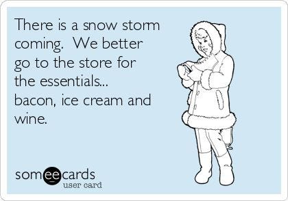 There is a snow storm coming. We better go to the store for ...