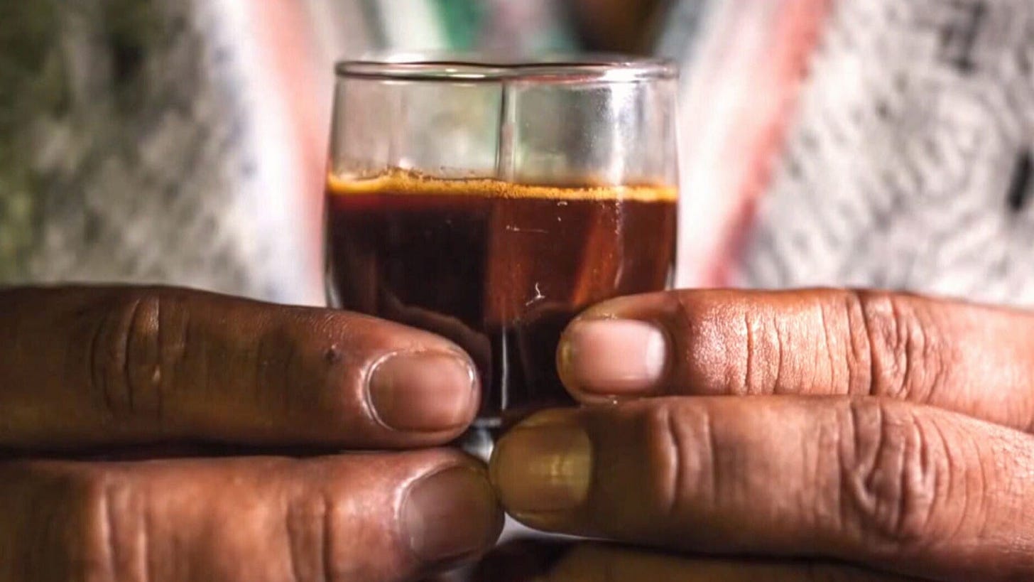 Ayahuasca, a Journey of a Lifetime