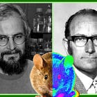 Η Τερατογένεση των Μονοκλωνικών Αντισωμάτων των Köhler και Milstein (1975)