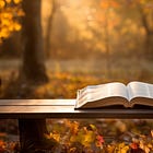 Guidance for Those New to the Christian Faith (Or New Again)