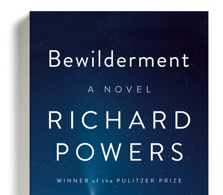 What's Notable about the Notable Books?