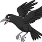 Charles Epstein's avatar