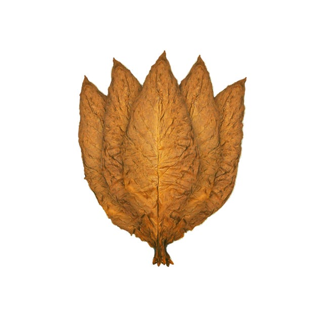 famous tobacco auctioneers THE TOBACCO AUCTIONEER – AN ICONIC SYMBOL