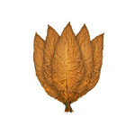 how to detox tobacco How to Detox from Smoking: A Complete Nicotine Cleanse Guide