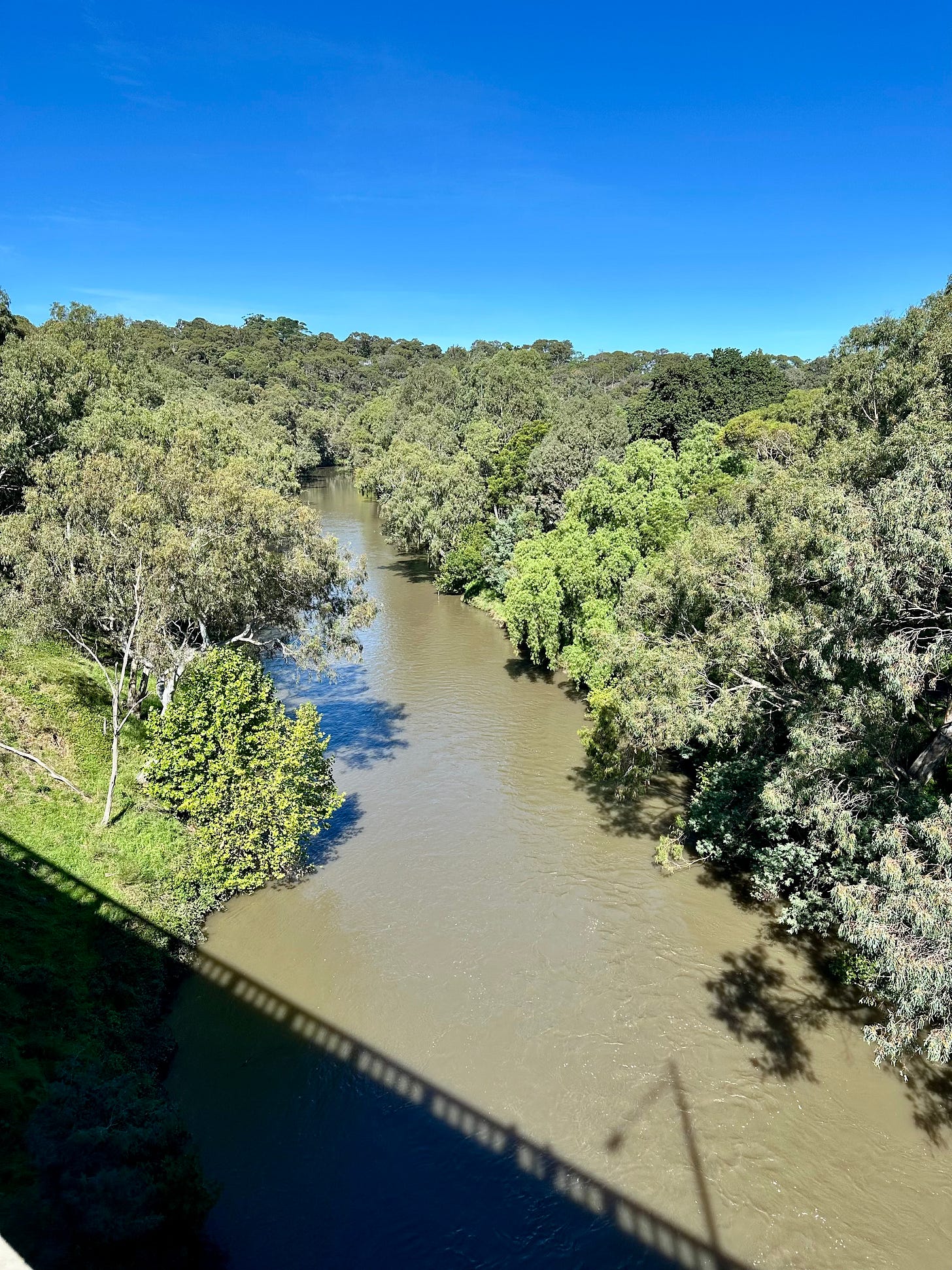 view of a brown river and bushland from a bridge view of a brown river and bushland from a bridge
