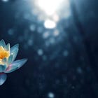 Quick Brain Refresh: Your 10-Minute Routine for Mental Clarity Anywhere, Anytime