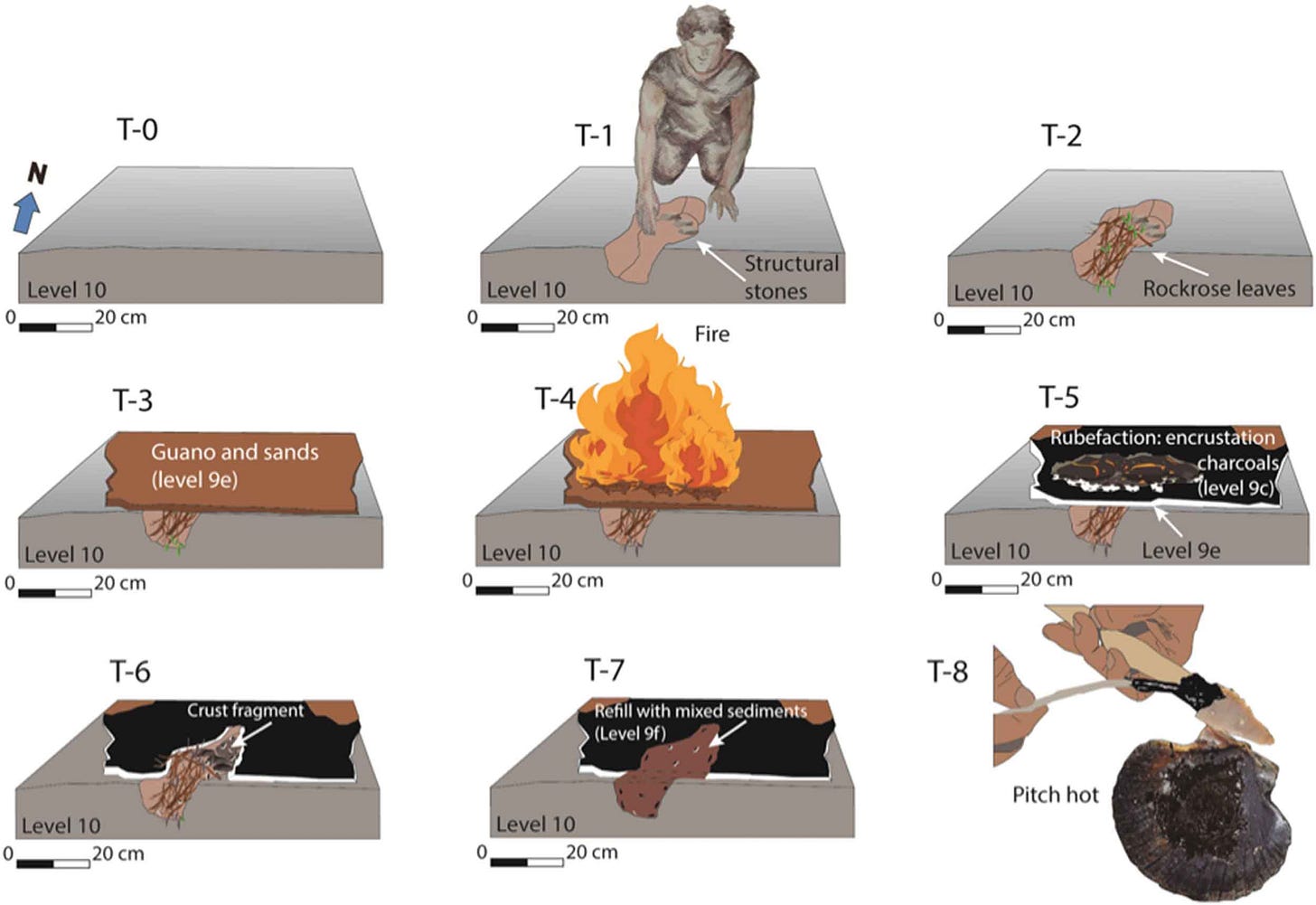 Schematic showing the method of construction of an excavated pit, supported by stones, for the rockrose material which was then covered with guano and sands, heated to extract tar from resin Schematic showing the method of construction of an excavated pit, supported by stones, for the rockrose material which was then covered with guano and sands, heated to extract tar from resin