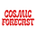 Cosmic Forecast