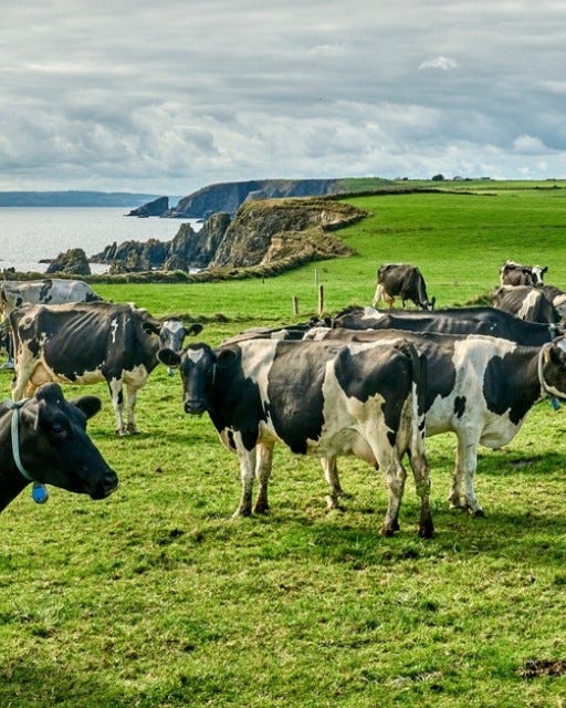 No photo description available.