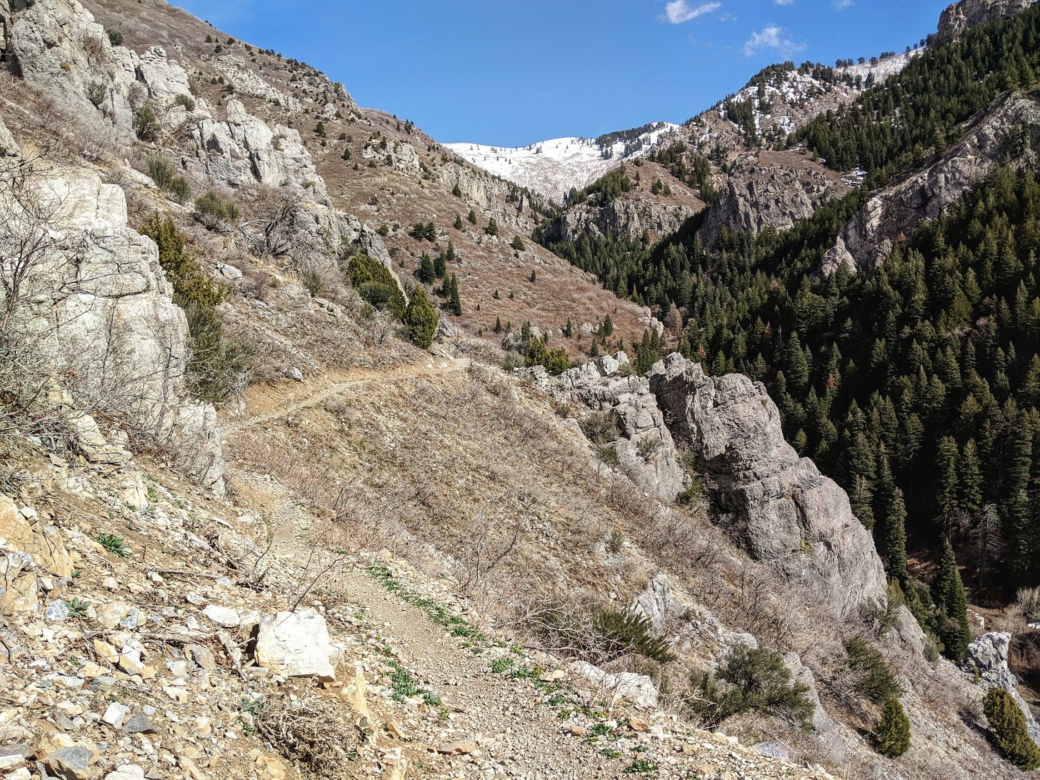Ogden Enduro