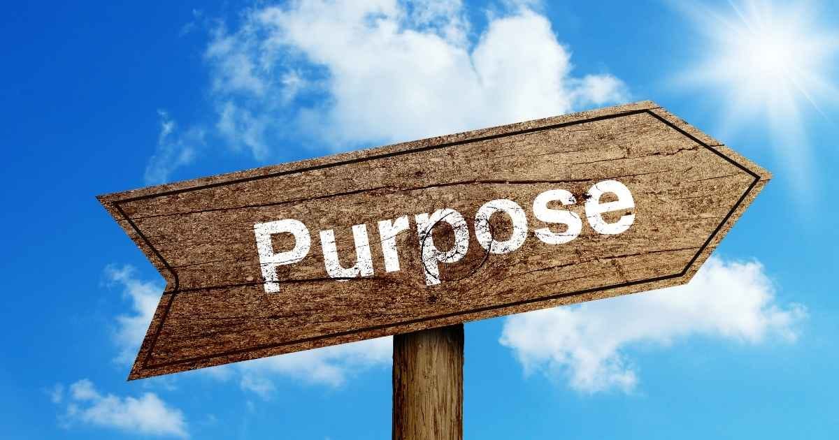 purpose road sign