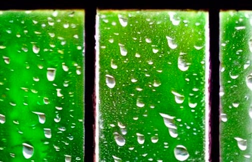 Rain on a window