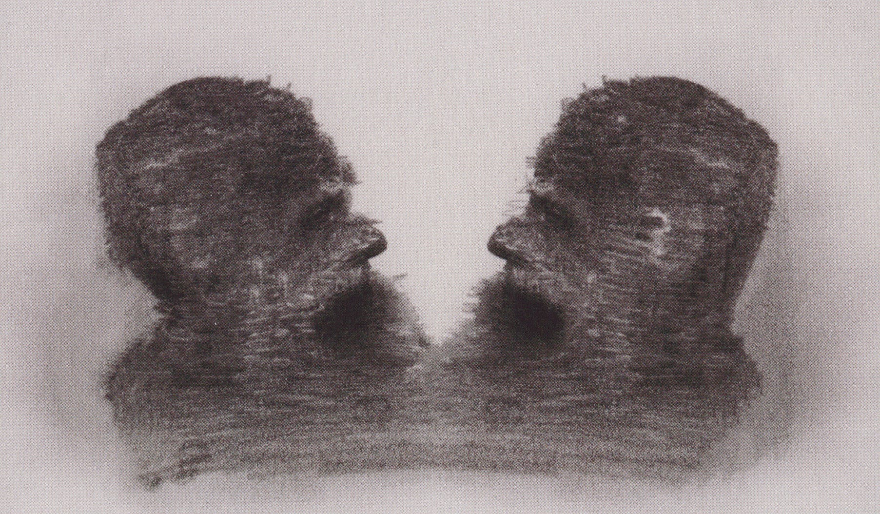 Birds and Letters | Substack