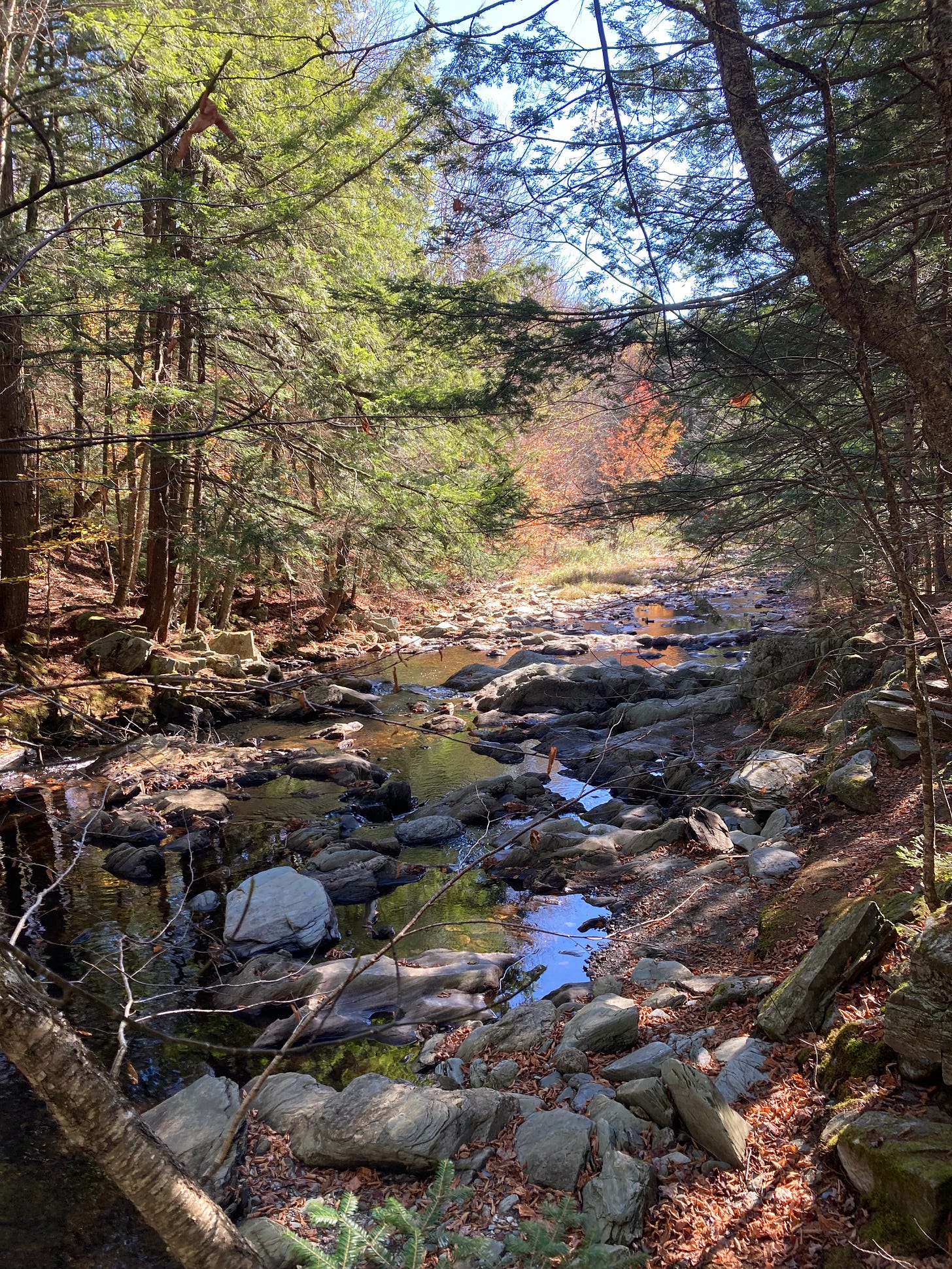 a rocky stream in fall with sun shining through some colorful leaves