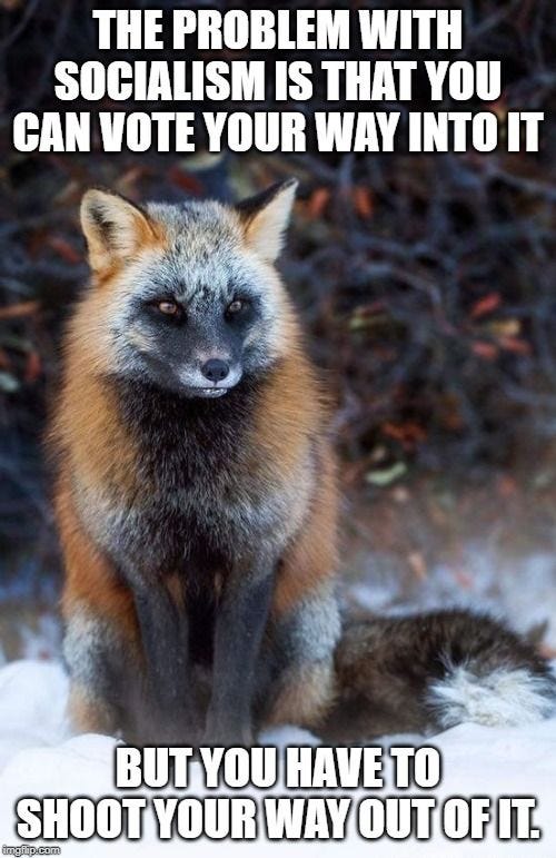This may contain: a fox sitting in the snow with its eyes open and captioning that it is not