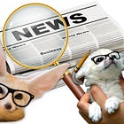 Watchfoxes News Watchers
