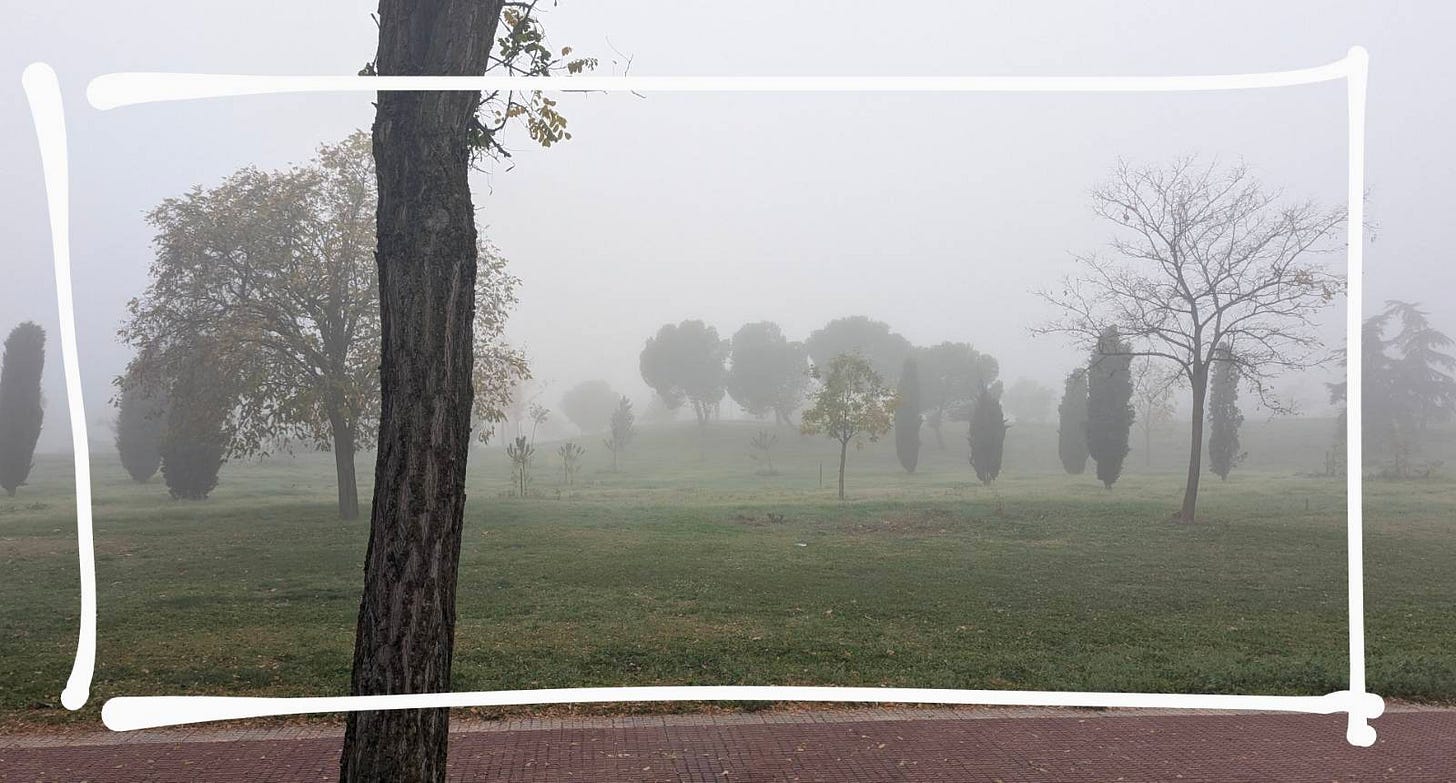 parque con niebla