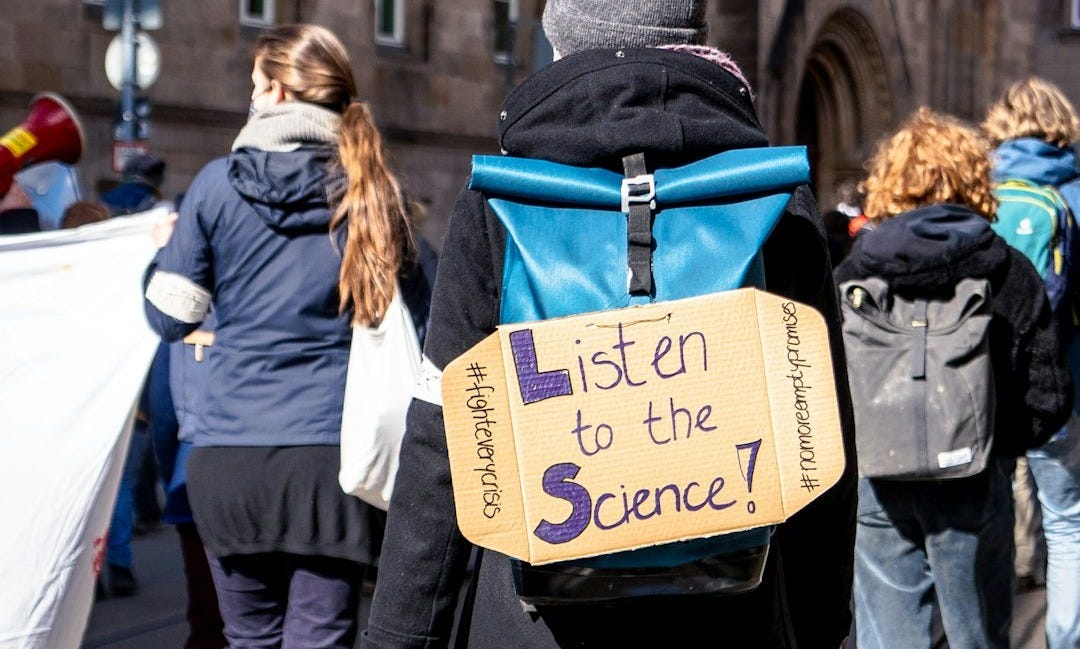 people walking on street during daytime