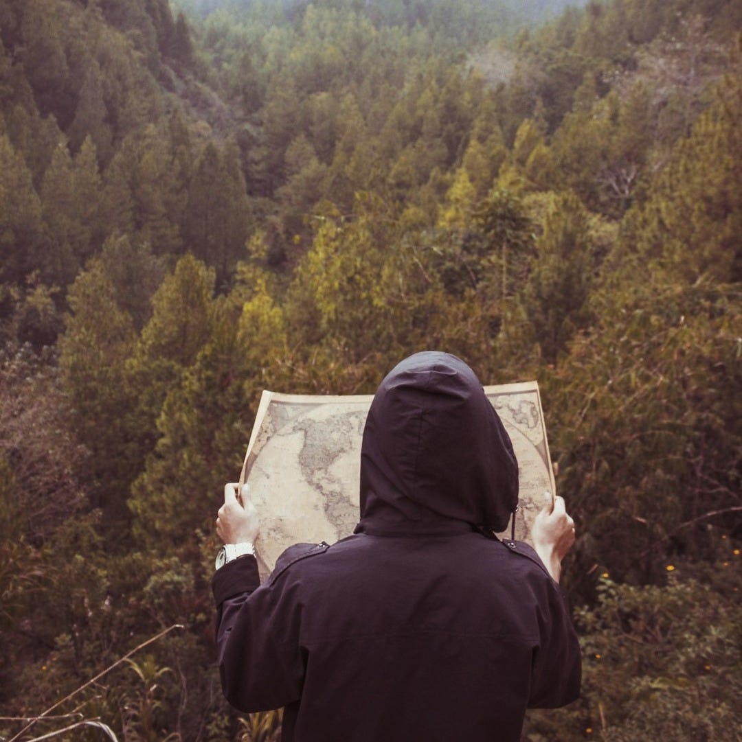 person facing forest reading map during daytime person facing forest reading map during daytime
