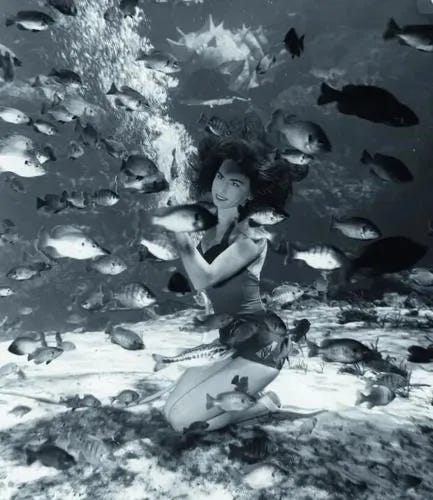 a live mermaid underwater at Weeki Wachee Springs (Arcadia Publishing for new authors)