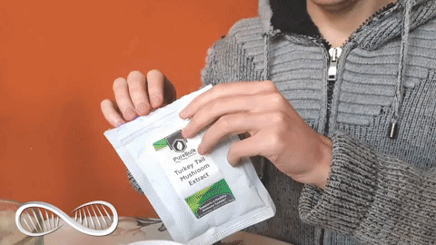 Animated GIF Animated GIF