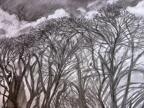 A3 Charcoal and A4 pastel drawings