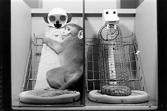 A monkey holding a robot
AI-generated content may be incorrect. A monkey holding a robot
AI-generated content may be incorrect.