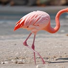 On Resilience and Letting Go