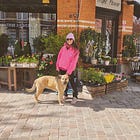 Les objectifs avant les euros