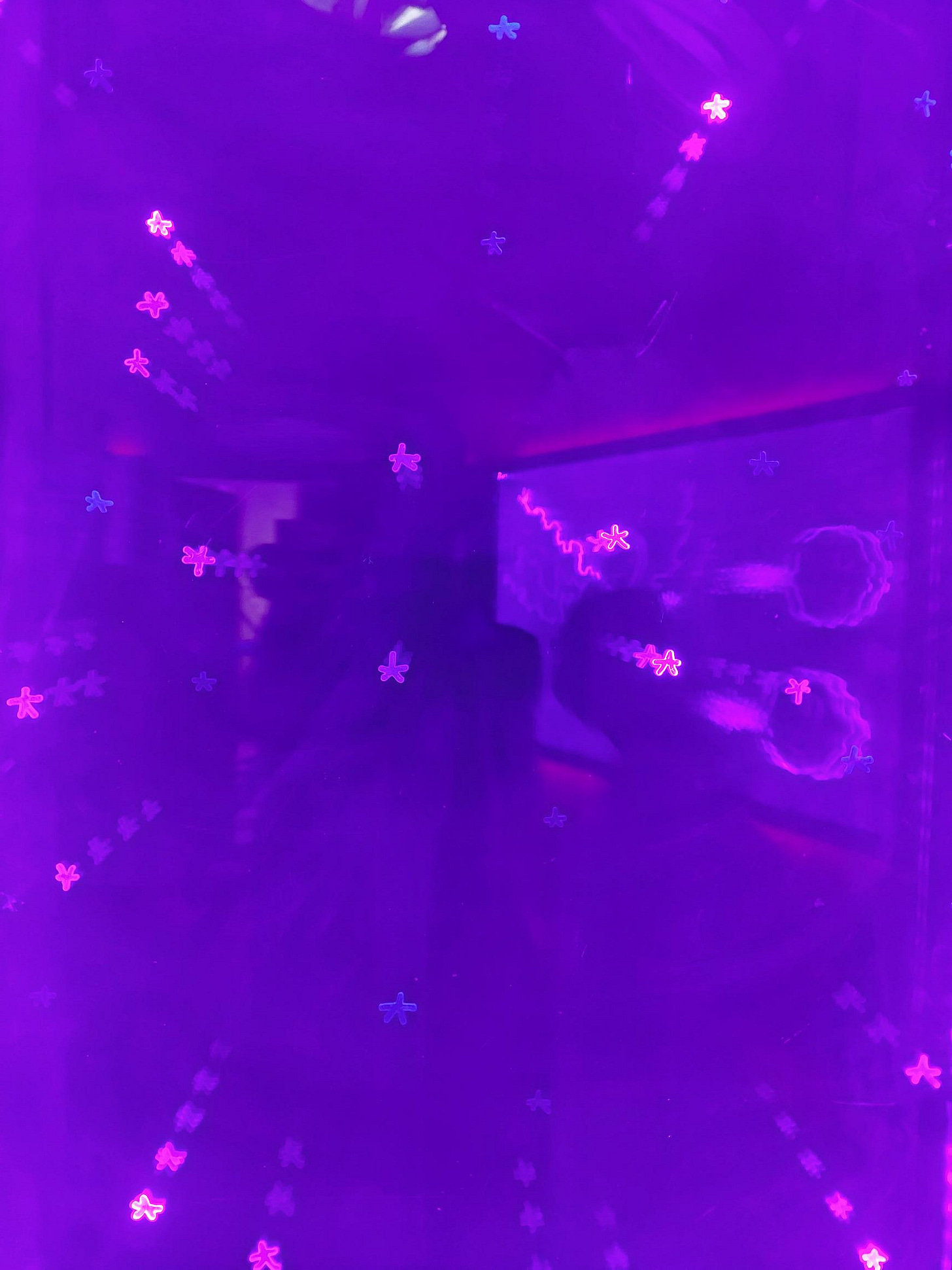 A very cosmic purple