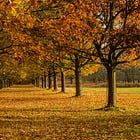 Nottingham autumn events — 15 of the best around the county