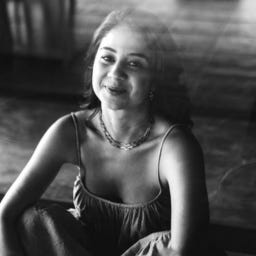 newsletter | dani carvalho