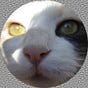 Luis Millape's avatar