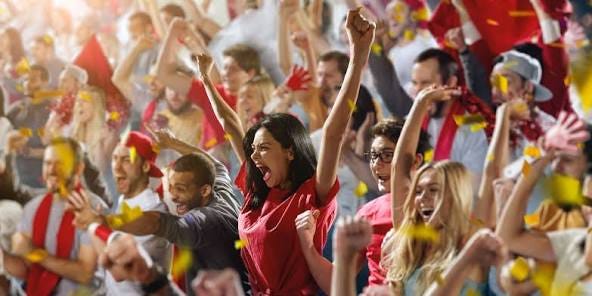 Why are Sports Fans so Passionate about Sports? – Team Colors ...