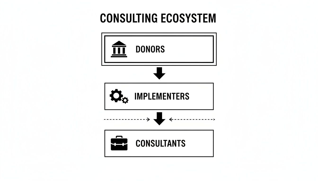 Flowchart illustrating the consulting ecosystem, showing donors funding implementers who then engage consultants. Flowchart illustrating the consulting ecosystem, showing donors funding implementers who then engage consultants.