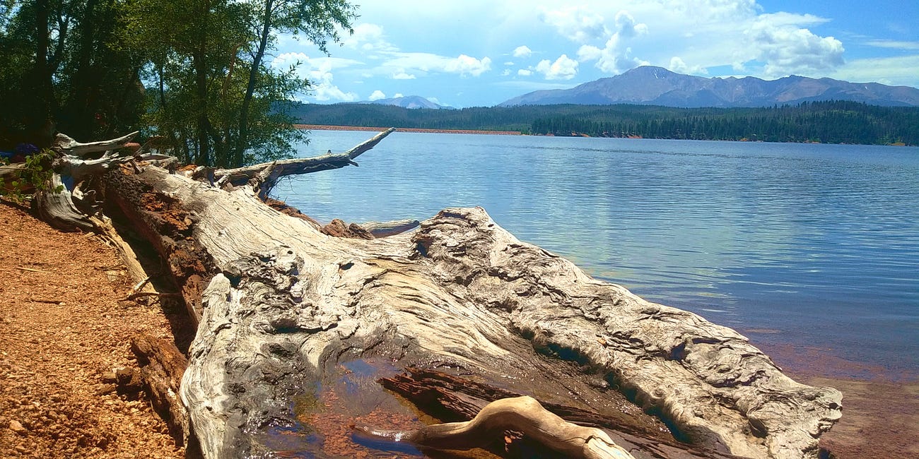 NATURE and the WILDERNESS, In every walk with nature one receives far more than he seeks. John Muir 