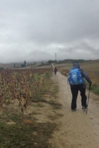 Pilgrim carrying backpack on Camino de Santiago.
