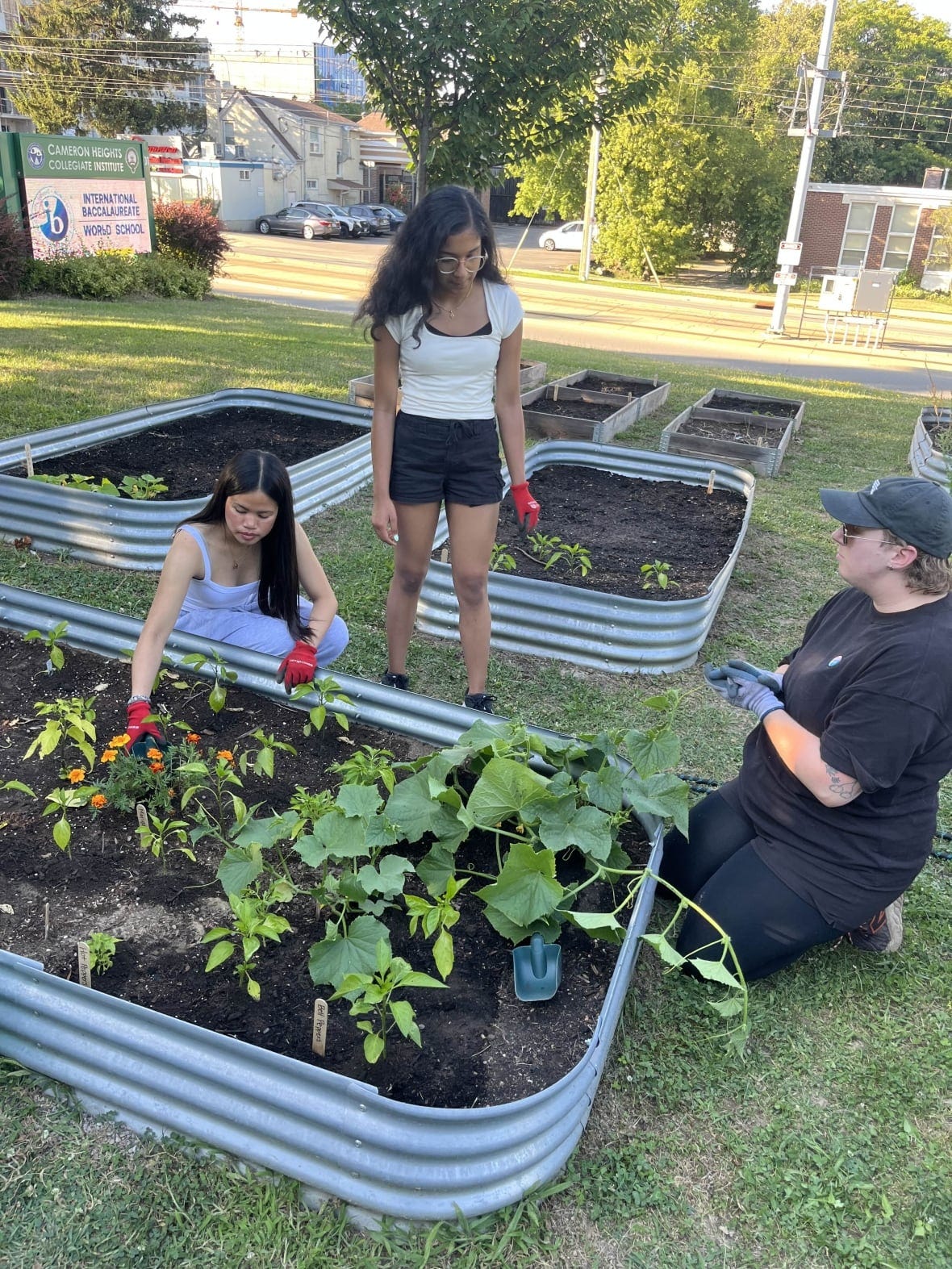 Three students standing in a garden 